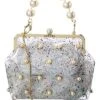 Lacey Clear Glitter Frame Clutch Women